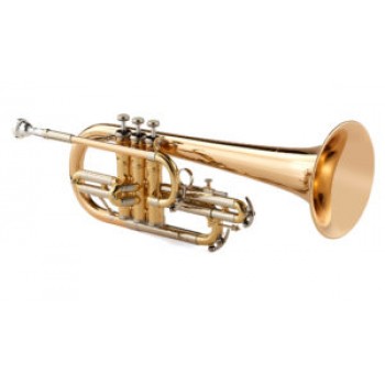 Kèn Bb - Flugelhorn Model 2017 NEW